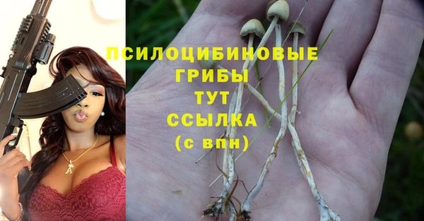 бошки Алексеевка