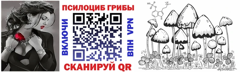 Псилоцибиновые грибы Psilocybe  цены наркотик  Краснознаменск 